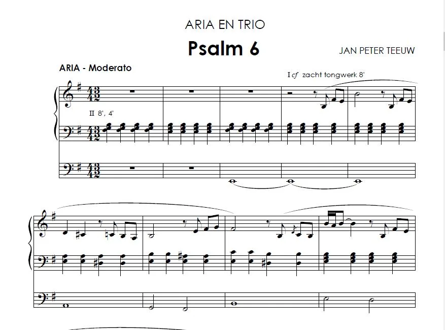 Jan Peter Teeuw: Psalmen voor orgel 2 - Image 2