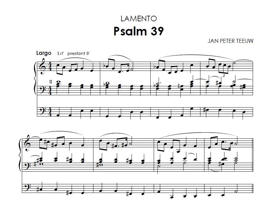 Jan Peter Teeuw: Psalmen voor orgel 2 - Image 3